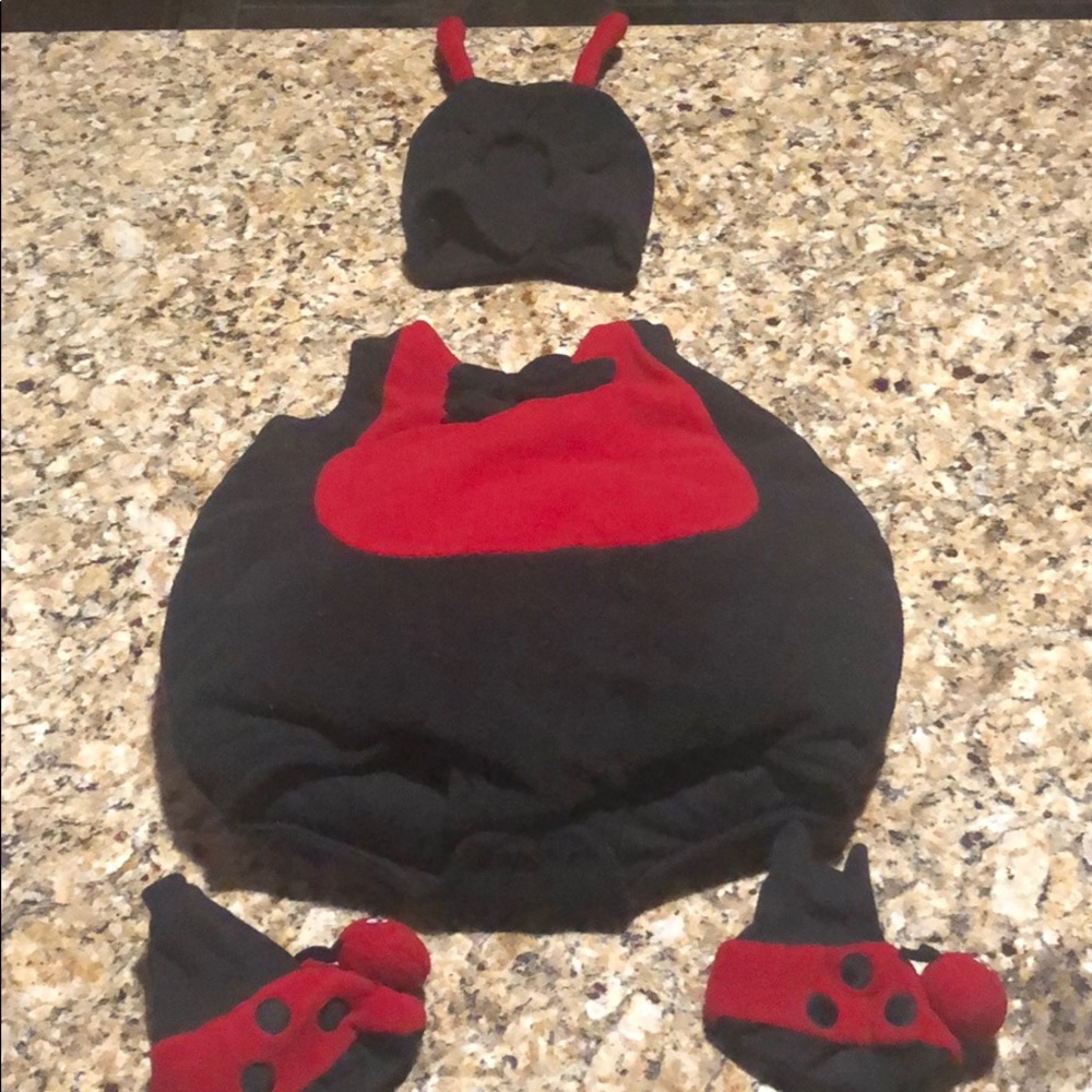 Lady bug Halloween costume